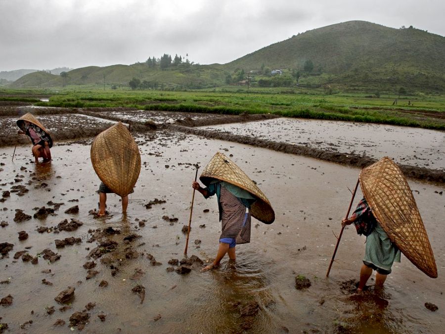 Farmers-in-Mawsynram