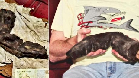 Au existat uriași în Egipt? Un deget de 38 de cm este dovada că DA!