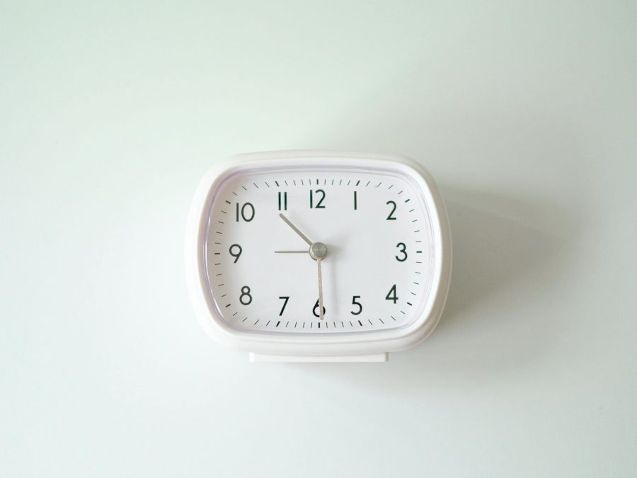 pexels-sujasen-15988482