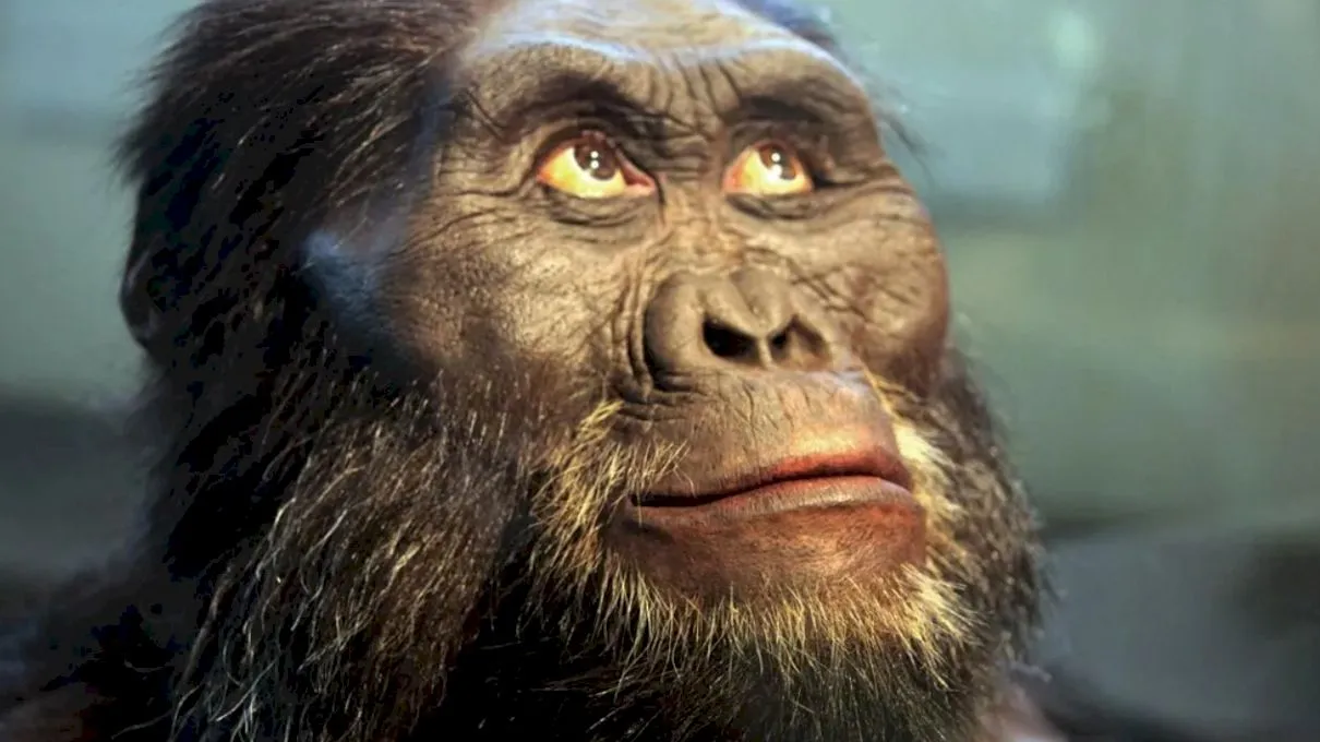 De ce facem piele de găină? Este un obicei moștenit de la strămoșii care aveau blană!