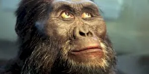 De ce facem piele de găină? Este un obicei moștenit de la strămoșii care aveau blană!