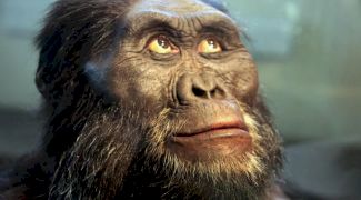 De ce facem piele de găină? Este un obicei moștenit de la strămoșii care aveau blană!