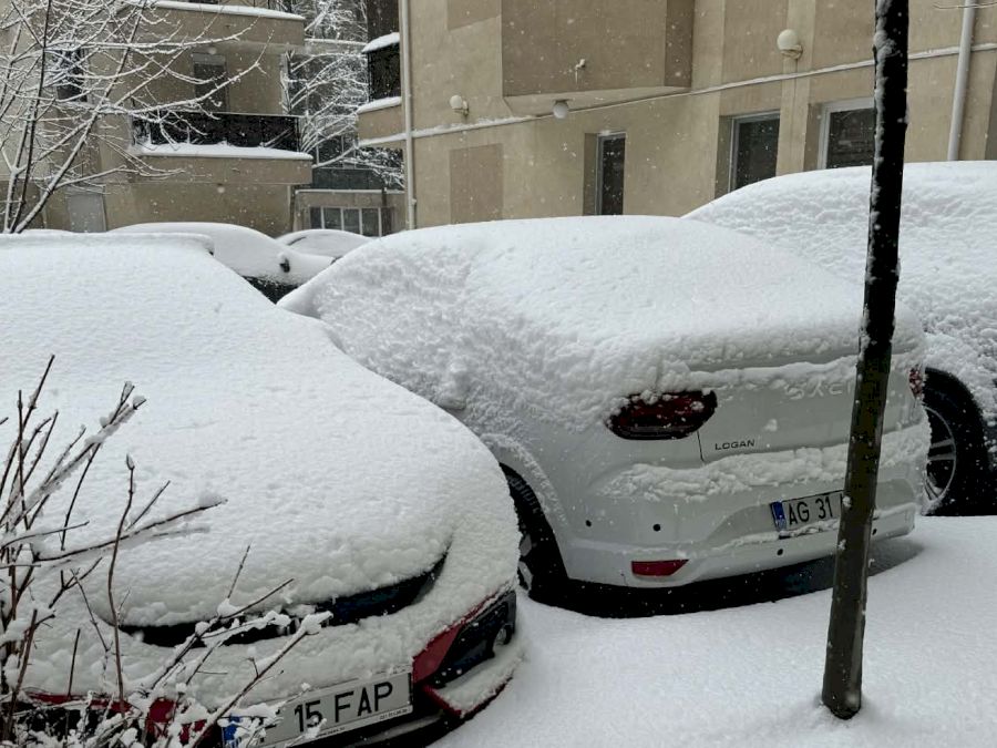 aaa99123-f297-47dc-8873-d220d9ddab44