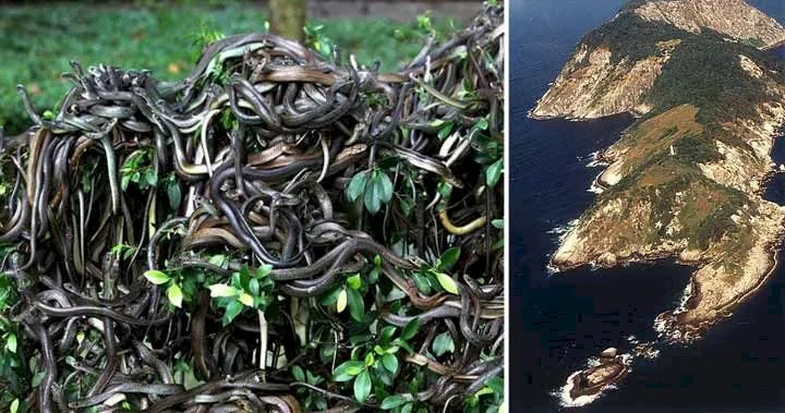 Care este singurul loc din lume unde accesul oamenilor este interzis prin lege? Doar câțiva oameni au acces cu derogări!