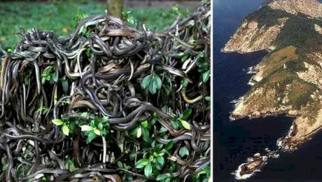 Care este singurul loc din lume unde accesul oamenilor este interzis prin lege? Doar câțiva oameni au acces cu derogări!