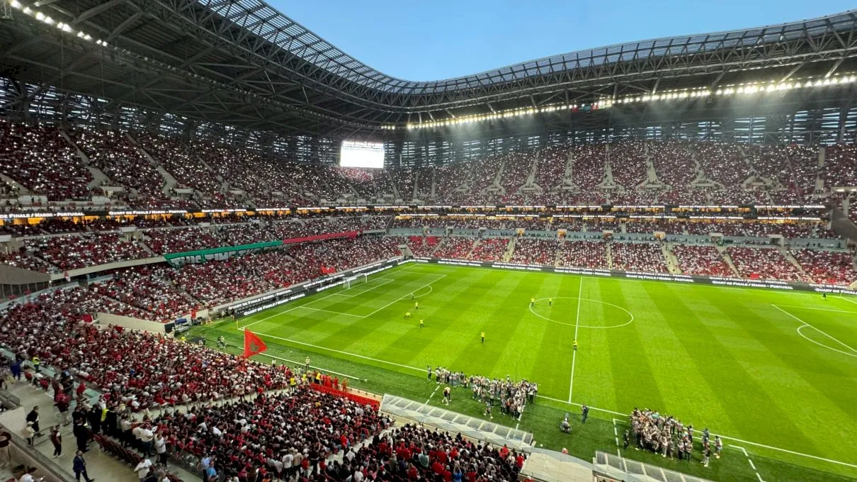 Suporterii care transformă statisticile în strategie sportivă