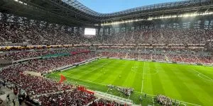 Suporterii care transformă statisticile în strategie sportivă