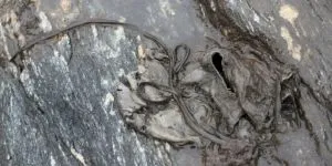 Cele mai ciudate lucruri descoperite în interiorul ghețarilor care s-au topit din pricina încălzirii globale