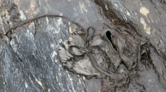 Cele mai ciudate lucruri descoperite în interiorul ghețarilor care s-au topit din pricina încălzirii globale