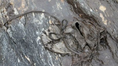 Cele mai ciudate lucruri descoperite în interiorul ghețarilor care s-au topit din pricina încălzirii globale