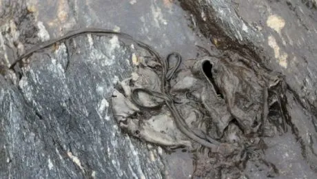 Cele mai ciudate lucruri descoperite în interiorul ghețarilor care s-au topit din pricina încălzirii globale