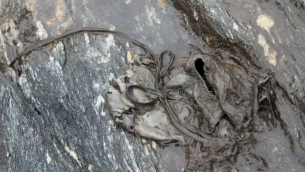 Cele mai ciudate lucruri descoperite în interiorul ghețarilor care s-au topit din pricina încălzirii globale