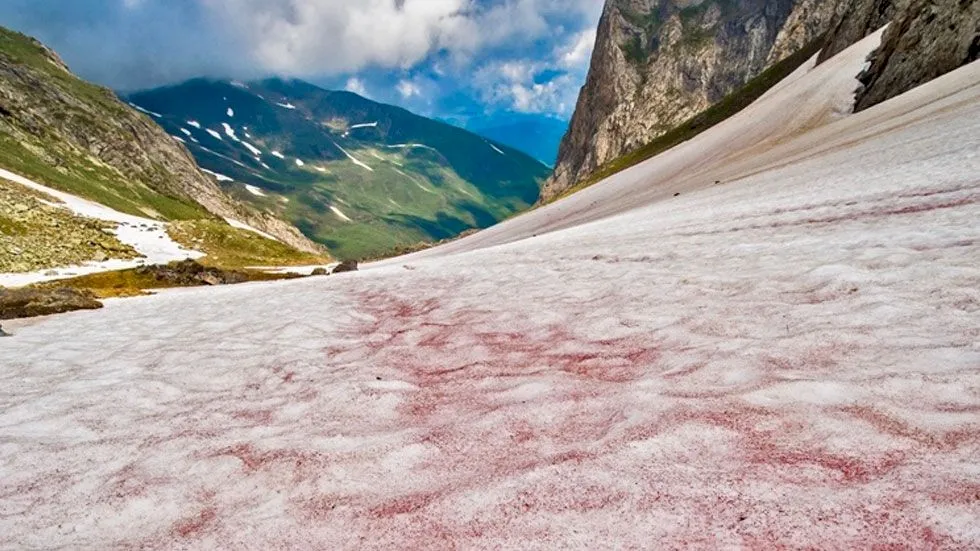 Unde poți găsi pe Terra zăpada cu miros de… pepene?