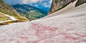 Unde poți găsi pe Terra zăpada cu miros de… pepene?