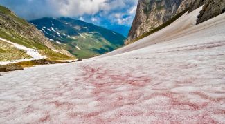 Unde poți găsi pe Terra zăpada cu miros de… pepene?