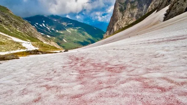 Unde poți găsi pe Terra zăpada cu miros de… pepene?
