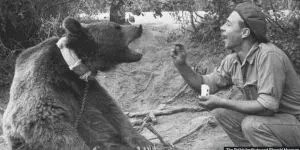 Povestea ursului Wojtek, care a fost recrutat în armata poloneză în al Doilea Război Mondial, avea grad de sergent și căra lăzi cu muniție