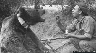 Povestea ursului Wojtek, care a fost recrutat în armata poloneză în al Doilea Război Mondial, avea grad de sergent și căra lăzi cu muniție
