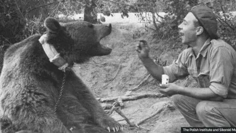 Povestea ursului Wojtek, care a fost recrutat în armata poloneză în al Doilea Război Mondial, avea grad de sergent și căra lăzi cu muniție