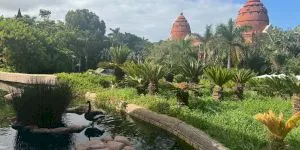 Ce poți face într-o zi întreagă la Siam Park (Tenerife) cel mai bun parc acvatic din lume conform TripAdvisor