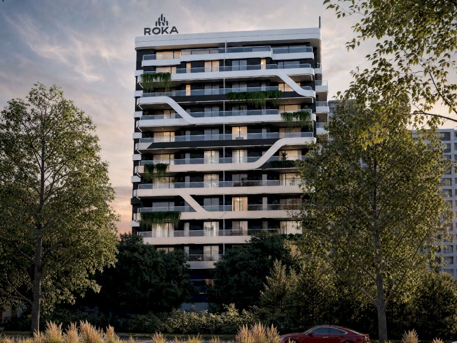 ROKA Development 1