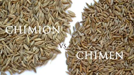 Care este diferența dintre chimen și chimion?