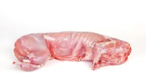 De ce oamenii nu consumă carne de iepure în mod regulat, așa cum se întâmplă cu porcul sau vita?