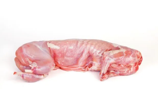 De ce oamenii nu consumă carne de iepure în mod regulat, așa cum se întâmplă cu porcul sau vita?