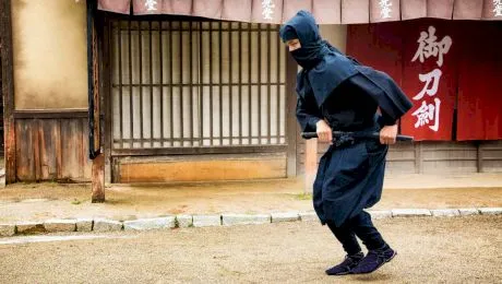 De ce în Japonia feudală faimoșii ninja purtau cu ei greieri în cutiuțe de bambus?