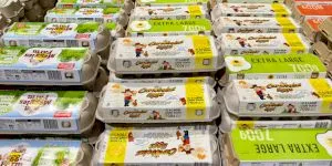 De ce în supermarketurile din Occident ouăle nu se țin în frigidere, ci la raft?