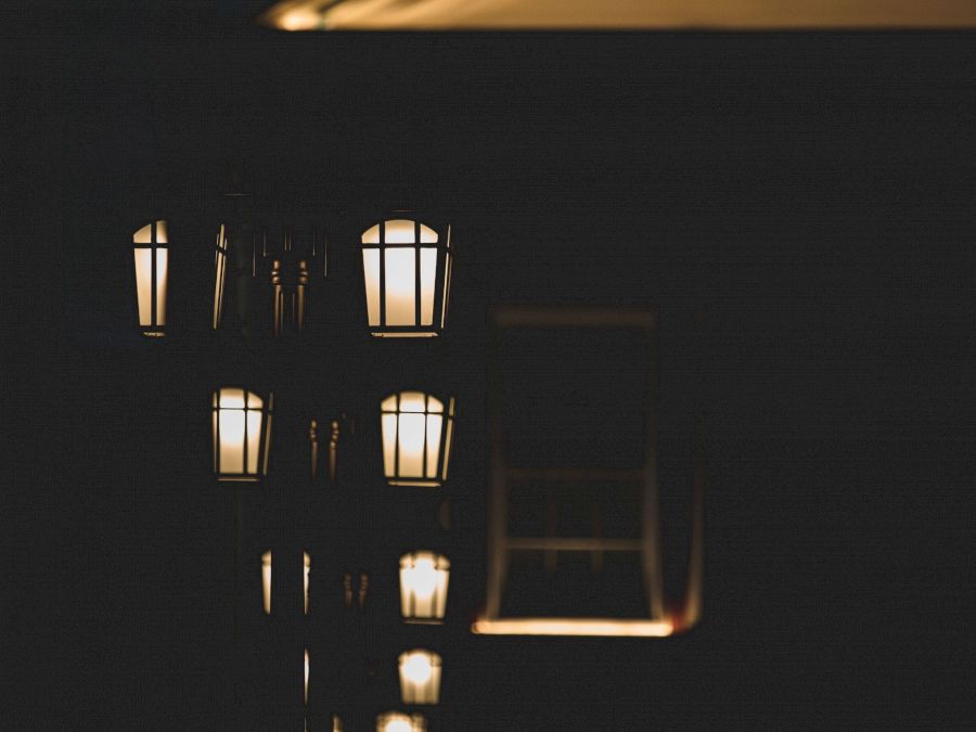 pexels-muffin-1629995