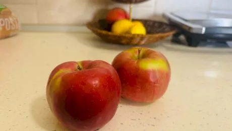 Care este orginea merelor? Cum au ajuns fructele atât de răspândite la nivel mondial?